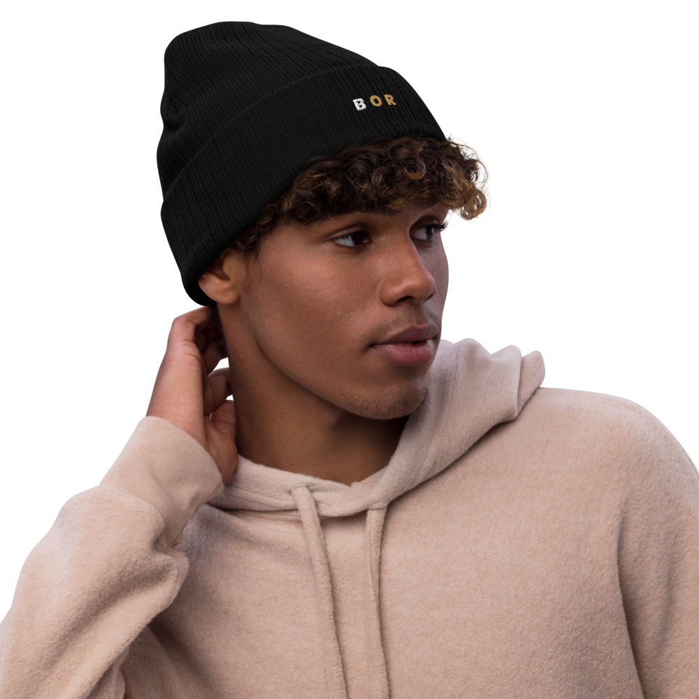 Gorro de invierno x BOR